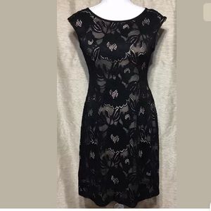 Connected Apparel Lace Lined Elegant Dress Sz 4P